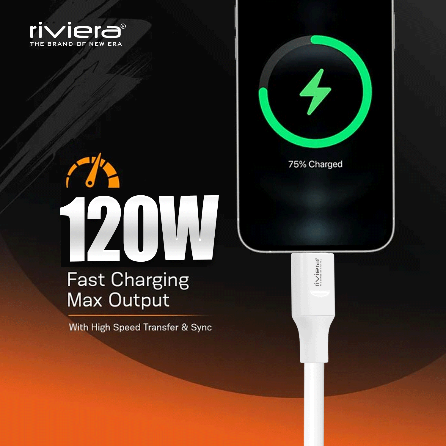 Riviera DT-51, 120W Fast Charging Data Cable | 6mm Extra Thick PVC |  10,000+ Bend Lifespan | Safe Charging | Compatible With Smartphones, Tablets, Power Banks & More  | White | Made in India